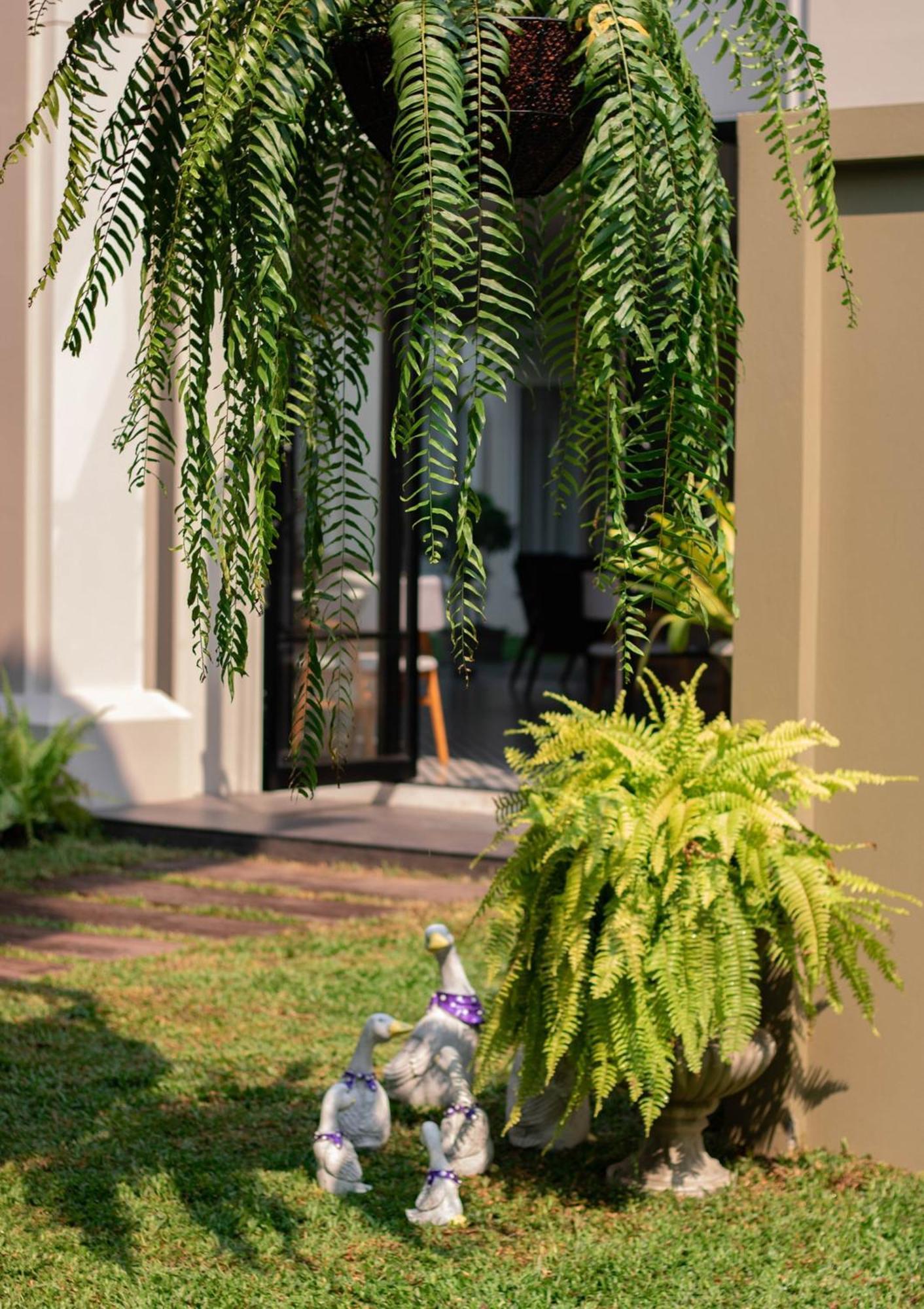 Eurana Boutique Hotel Chiang Mai Luaran gambar
